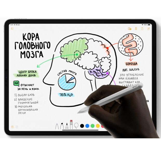 iPad Pro 12.9' Wi-Fi 1TB, SG 2018 (MTFR2) б/у